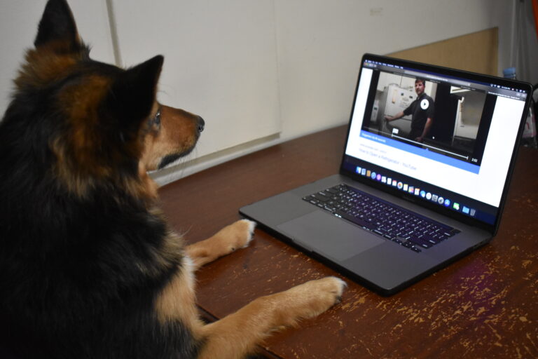 Should You Hire a Professional Trainer?