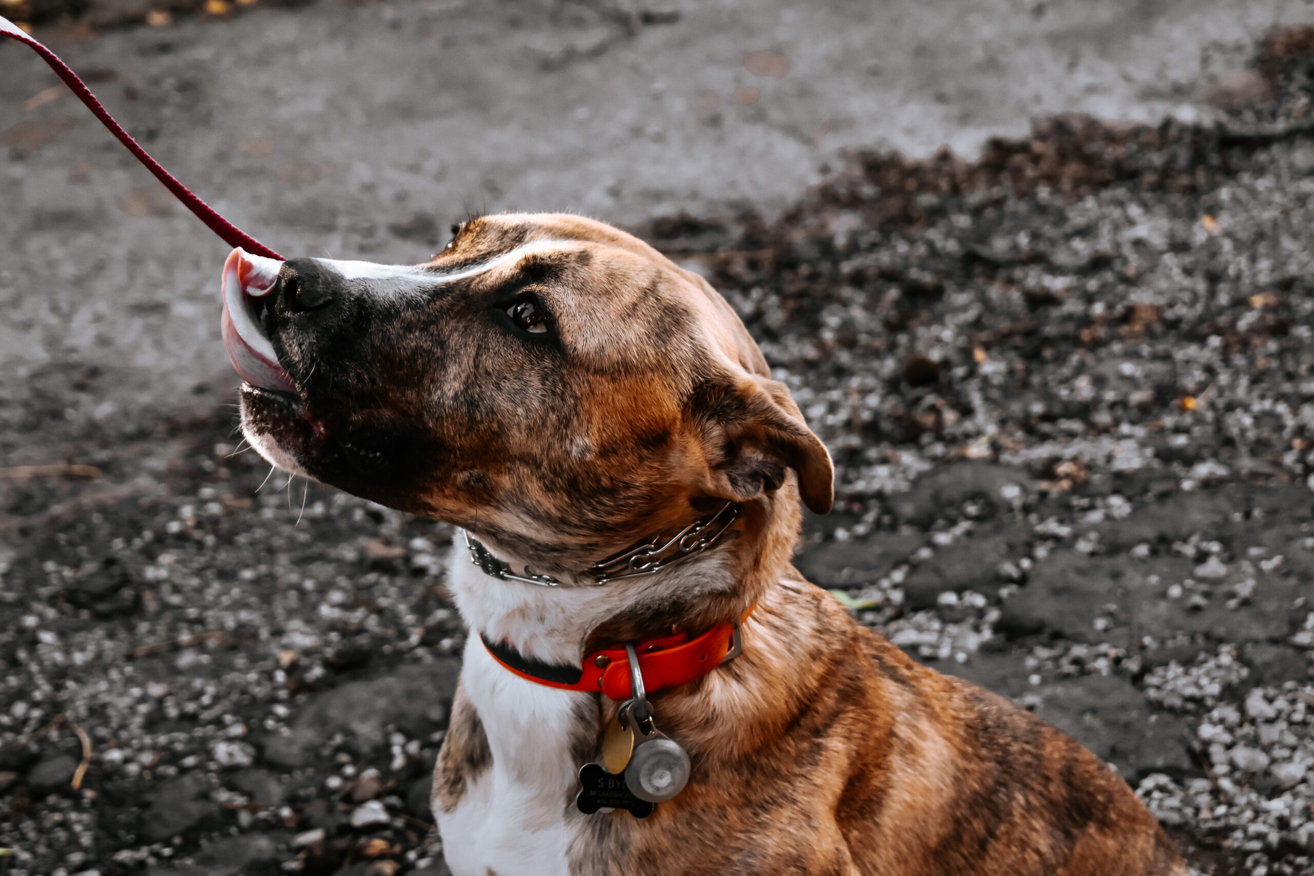 Functional Foundations