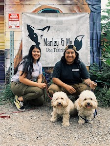 Marley's Misfits Dog Training place picture